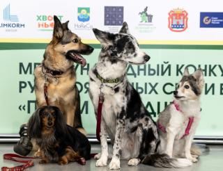 Объявляем победителей «Народного голосования»!